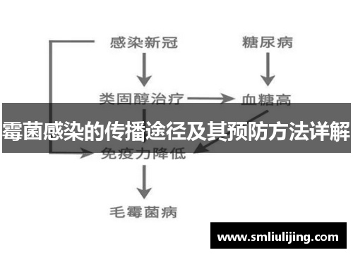 霉菌感染的传播途径及其预防方法详解