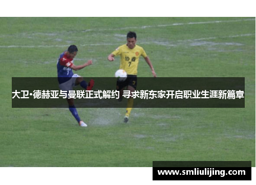 大卫·德赫亚与曼联正式解约 寻求新东家开启职业生涯新篇章